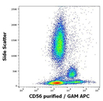 CD56 Antibody in Flow Cytometry (Flow)