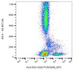 HLA-DQ1/DQ3 Monoclonal Antibody (HL-37)
