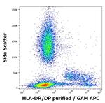 HLA-DR/DP Antibody in Flow Cytometry (Flow)