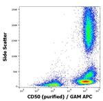 ICAM-3 Antibody in Flow Cytometry (Flow)