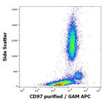 CD97 Monoclonal Antibody (MEM-180)