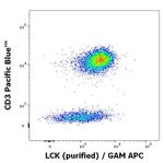 LCK Monoclonal Antibody (LCK-01)