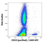 CD19 Antibody in Flow Cytometry (Flow)