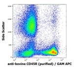 CD45R Antibody in Flow Cytometry (Flow)