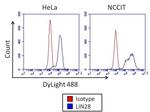 Mouse IgG2a Isotype Control in Flow Cytometry (Flow)