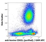 CD62L Antibody in Flow Cytometry (Flow)