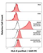 HLA-E Monoclonal Antibody (MEM-E/02)