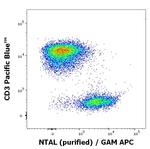 NTAL Antibody in Flow Cytometry (Flow)