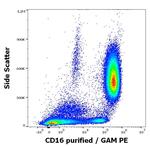 CD16 Antibody in Flow Cytometry (Flow)