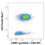LIME Monoclonal Antibody (LIME-06)