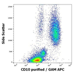 CD10 Antibody in Flow Cytometry (Flow)