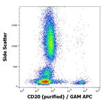 CD20 Antibody in Flow Cytometry (Flow)