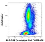 HLA-DR1 Antibody in Flow Cytometry (Flow)