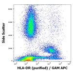 HLA-DR Antibody in Flow Cytometry (Flow)