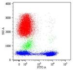 CD5 Antibody in Flow Cytometry (Flow)