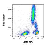 CD45 Antibody in Flow Cytometry (Flow)