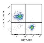 CD19 Antibody in Flow Cytometry (Flow)