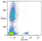 CD19 Antibody in Flow Cytometry (Flow)
