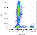 CD20 Antibody in Flow Cytometry (Flow)