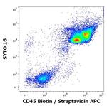 CD45 Antibody in Flow Cytometry (Flow)
