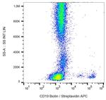 CD19 Antibody in Flow Cytometry (Flow)