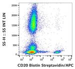 CD20 Antibody in Flow Cytometry (Flow)