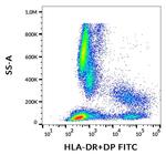 HLA-DR/DP Monoclonal Antibody (HL-38), FITC