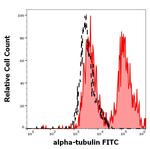 alpha Tubulin Monoclonal Antibody (TU-01), FITC