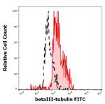 beta-3 Tubulin Monoclonal Antibody (TU-20), FITC