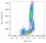 CD97 Monoclonal Antibody (MEM-180), FITC