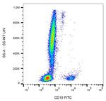 CD19 Antibody in Flow Cytometry (Flow)