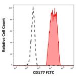 CD177 Monoclonal Antibody (MEM-166), FITC