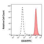 CD20 Antibody in Flow Cytometry (Flow)