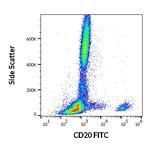 CD20 Antibody in Flow Cytometry (Flow)