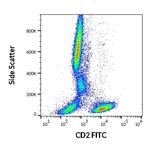 CD2 Antibody in Flow Cytometry (Flow)