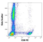 CD8 Antibody in Flow Cytometry (Flow)
