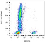 CD19 Antibody in Flow Cytometry (Flow)