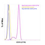 CD19 Antibody in Flow Cytometry (Flow)