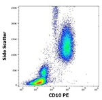 CD10 Antibody in Flow Cytometry (Flow)