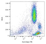 HLA-ABC Monoclonal Antibody (W6/32), PE