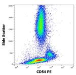 ICAM-1 Antibody in Flow Cytometry (Flow)