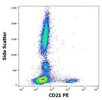 CD21 Antibody in Flow Cytometry (Flow)
