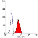 LTB4R Monoclonal Antibody (202/7B1)