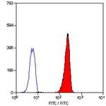 LTB4R Monoclonal Antibody (202/7B1), FITC