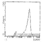 CD90 Antibody in Flow Cytometry (Flow)