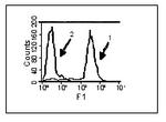 BAFF (soluble) Antibody in Flow Cytometry (Flow)