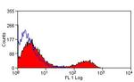 CD28 Antibody in Flow Cytometry (Flow)