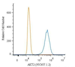 AKT2 Antibody in Flow Cytometry (Flow)