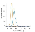 CHK2 Antibody in Flow Cytometry (Flow)