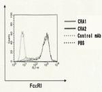 FceR1 alpha Monoclonal Antibody (CRA1 (AER37))